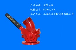 FQS65/2.5 9735�������y